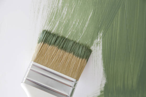 Trusted Tavares, FL Mold Removal Experts