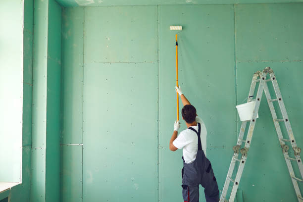 Mold Odor Removal Services in Tavares, FL