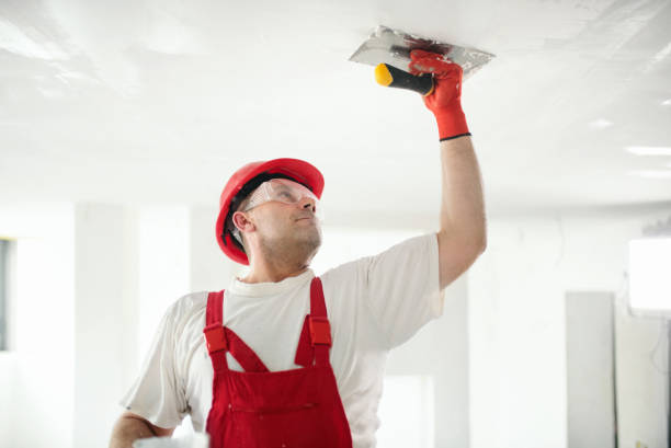 Best Mold Damage Restoration  in Tavares, FL