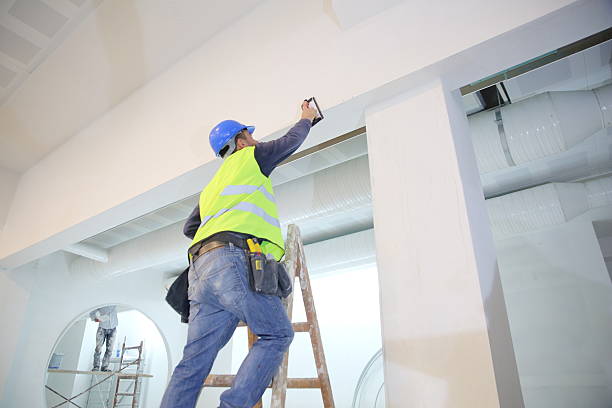 Best Biohazard Mold Removal  in Tavares, FL